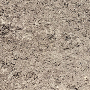 Organic Soil