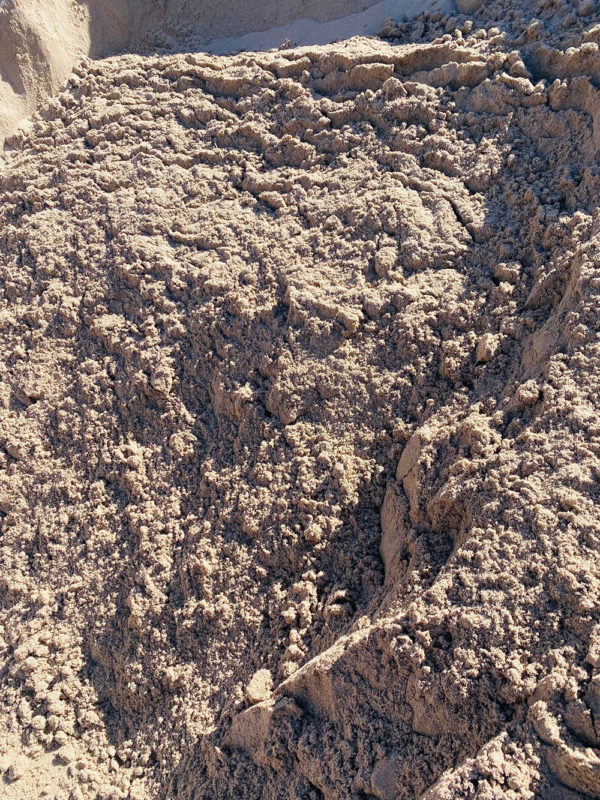 Sandy Loam