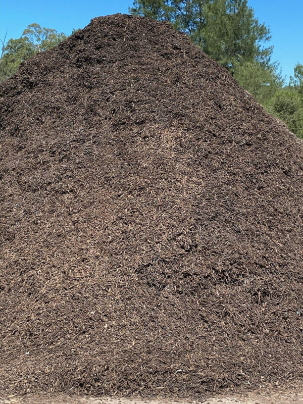 Forest Mulch - Image 2
