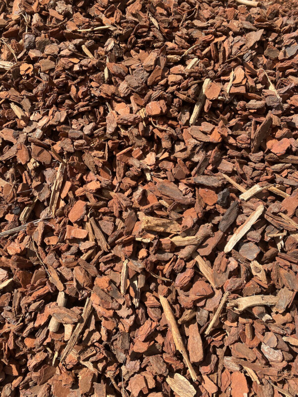 Pine Bark